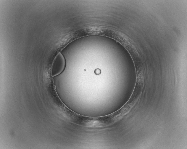 X0000116350460200912011414