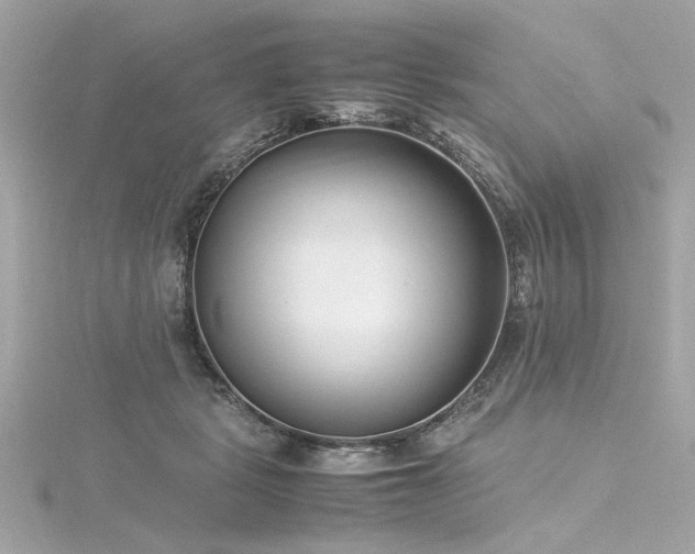 X0000116350461200912011414