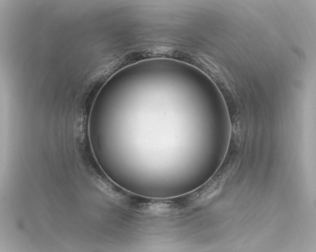 X0000116350462200912011414