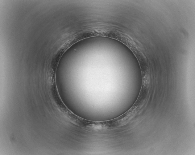 X0000116350464200912011414