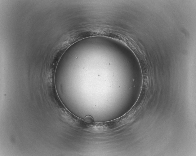 X0000116350466200912011414