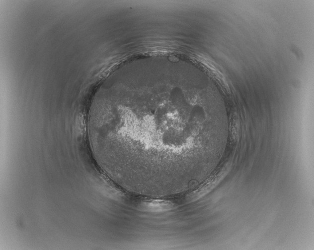 X0000116350467200912011414