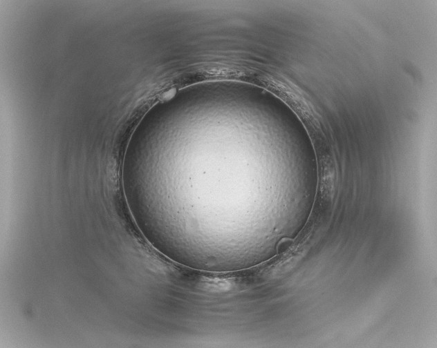 X0000116350469200912011414