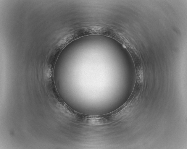 X0000116350472200912011414