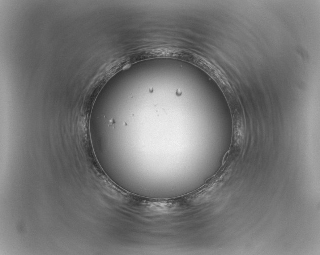 X0000116350473200912011414