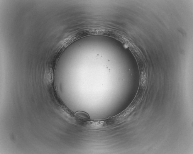 X0000116350474200912011414