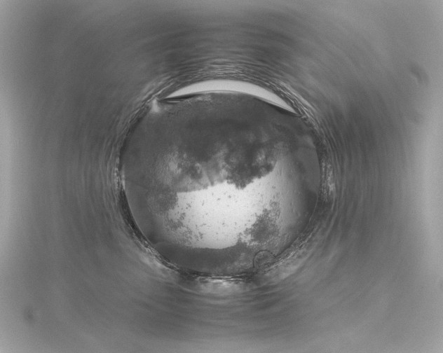 X0000116350475200912011414