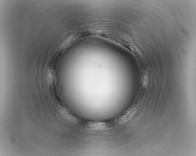 X0000116350476200912011414