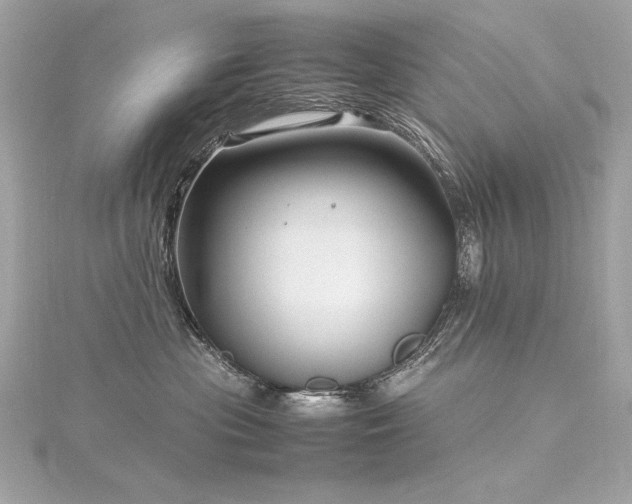 X0000116350477200912011414