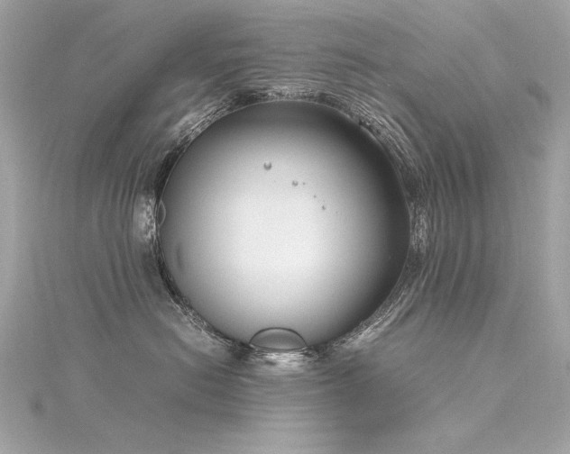 X0000116350478200912011414