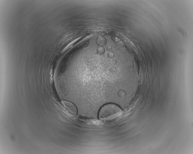 X0000116350479200912011414