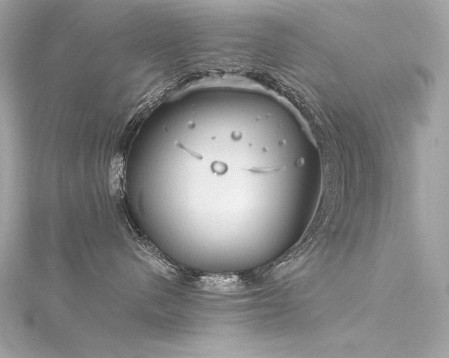 X0000116350480200912011414