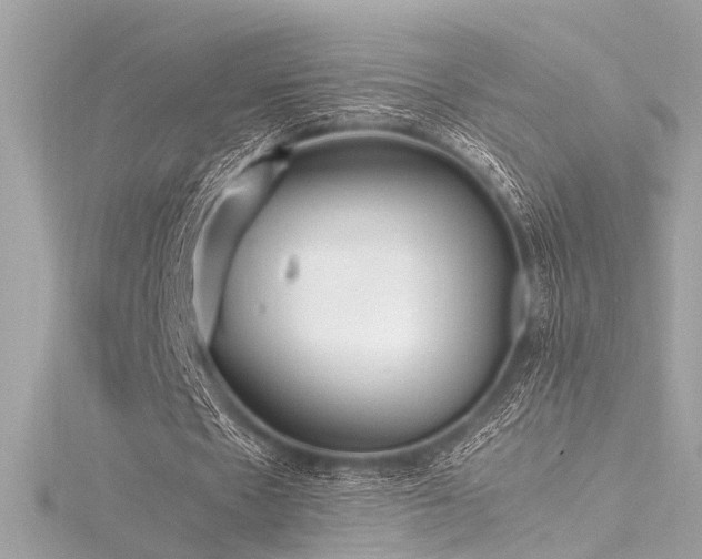 X0000116350481200912011413