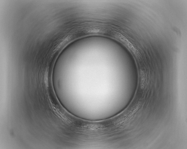 X0000116350482200912011413