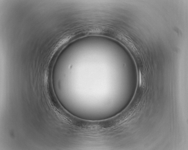 X0000116350483200912011413