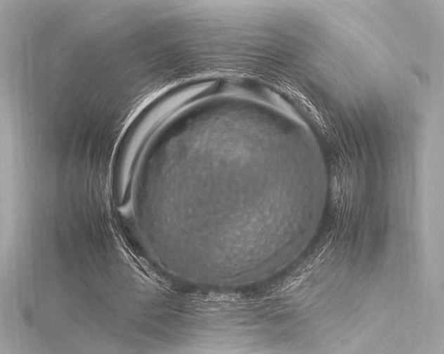 X0000116350484200912011413