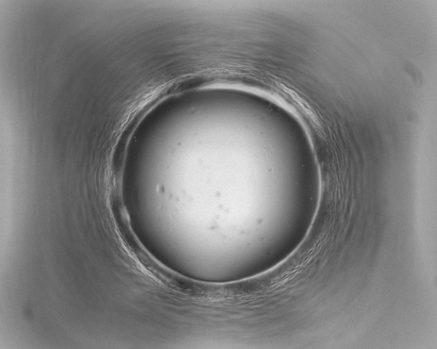 X0000116350485200912011413