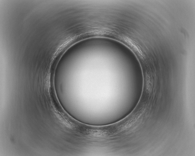 X0000116350486200912011413