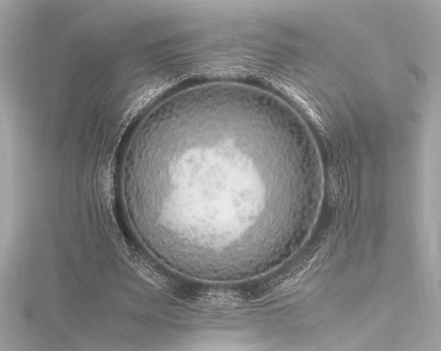 X0000116350487200912011413