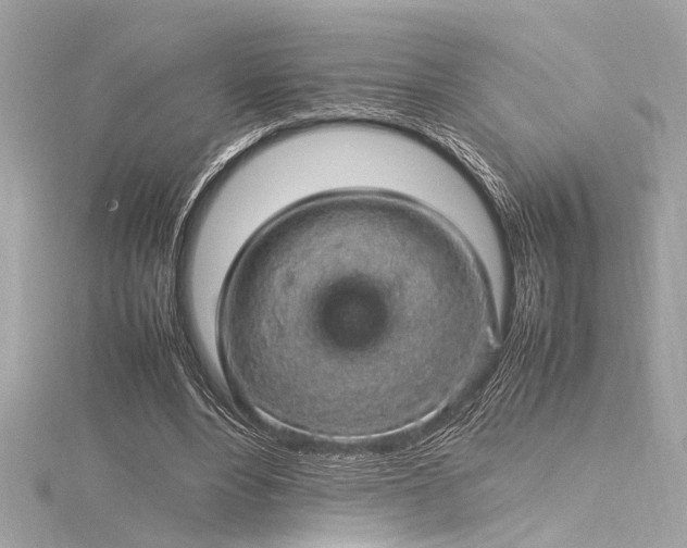 X0000116350488200912011413