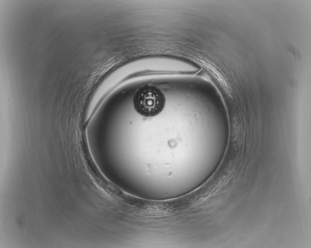 X0000116350489200912011413