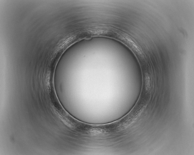 X0000116350490200912011413