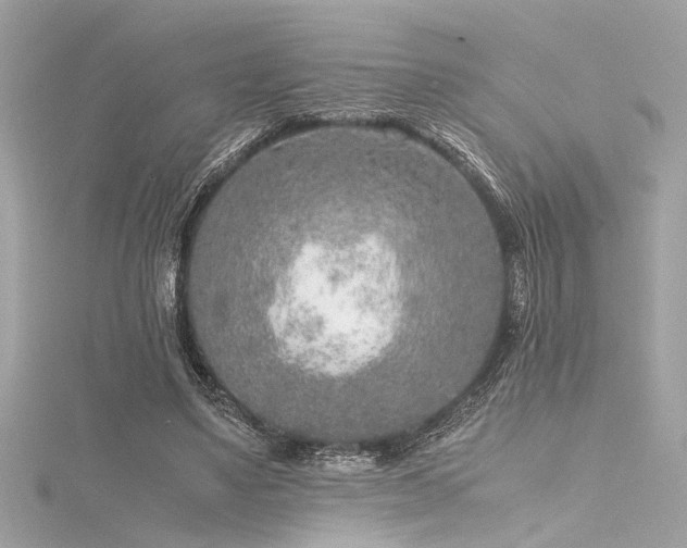 X0000116350491200912011413