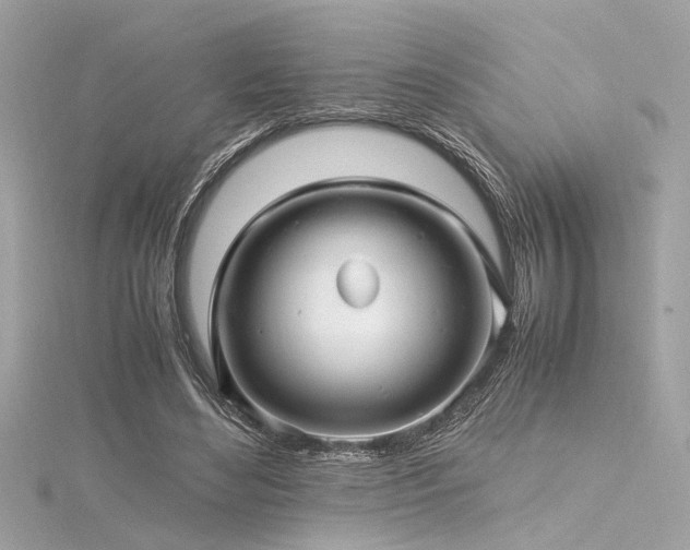 X0000116350492200912011413