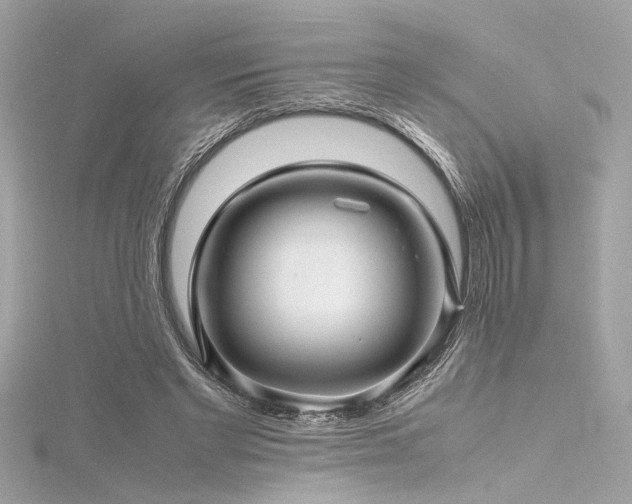 X0000116350493200912011413