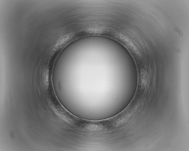 X0000116350494200912011413