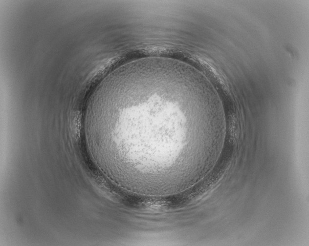 X0000116350495200912011413