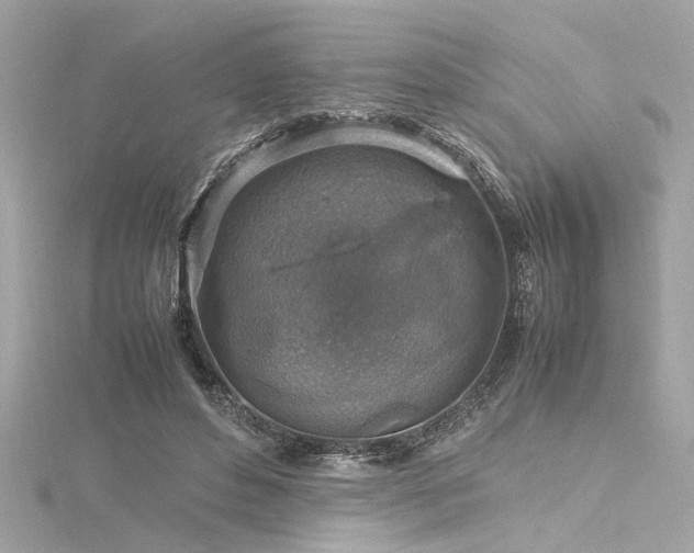 X0000116350496200912011413