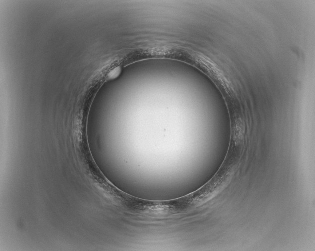 X0000116350497200912011413