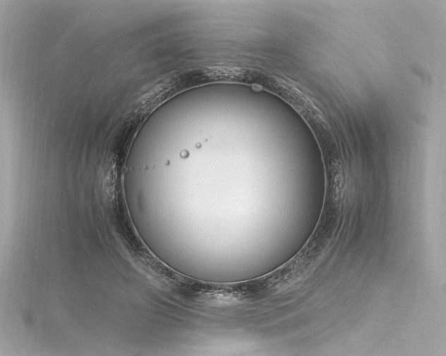 X0000116350498200912011413