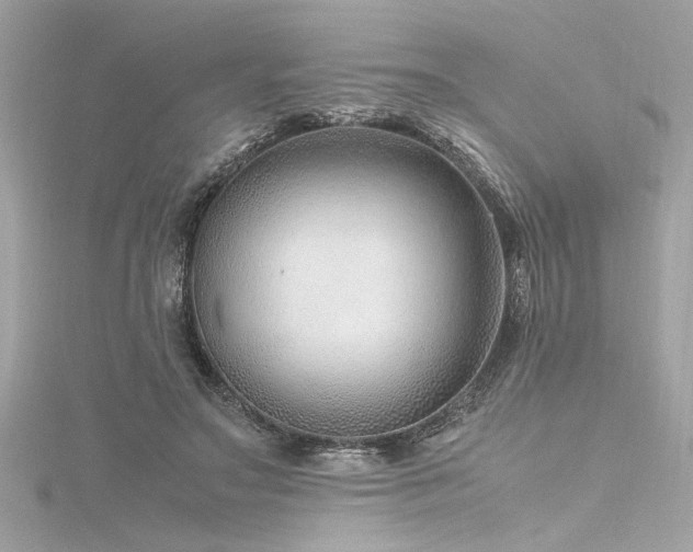 X0000116350499200912011413