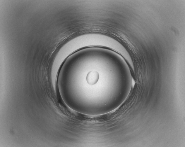 X0000116350500200912011413