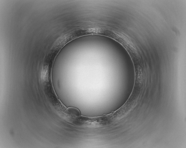 X0000116350502200912011413