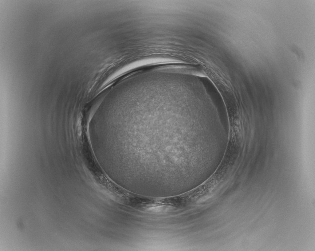 X0000116350504200912011413