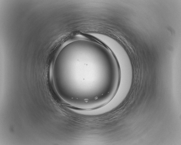 X0000116350505200912011413