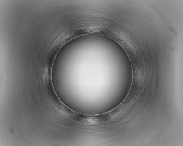 X0000116350506200912011413