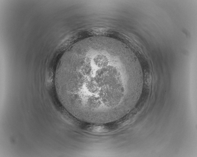 X0000116350507200912011413