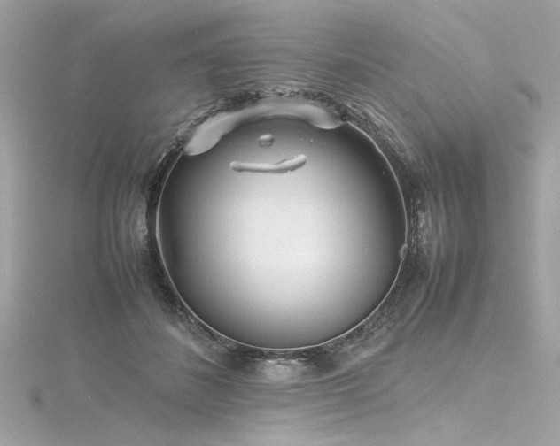 X0000116350508200912011413