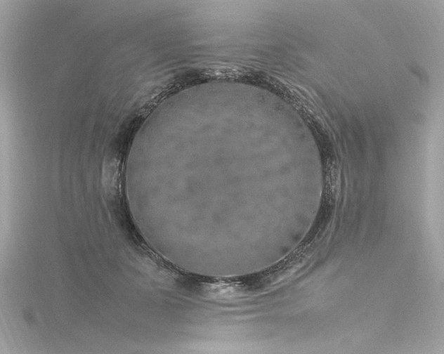 X0000116350511200912011413