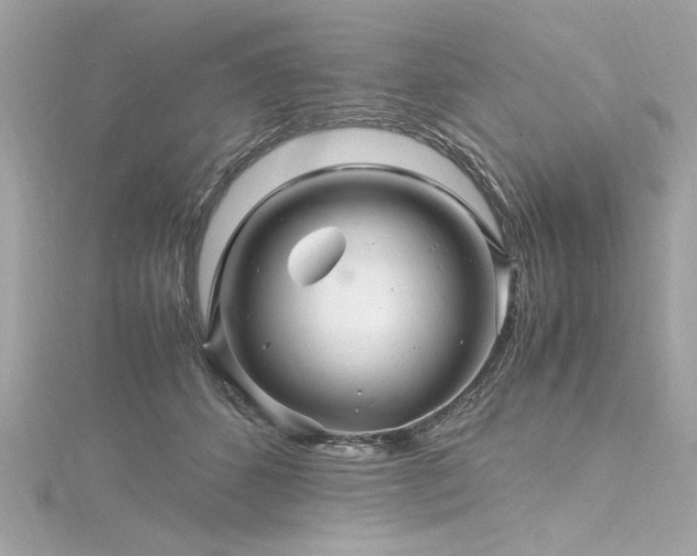 X0000116350512200912011413