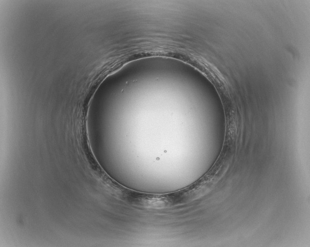 X0000116350513200912011413