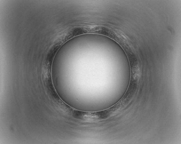 X0000116350515200912011413