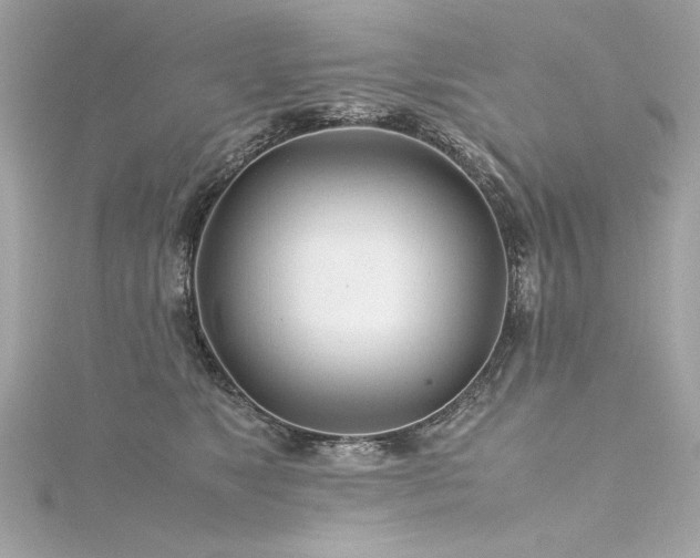 X0000116350517200912011413