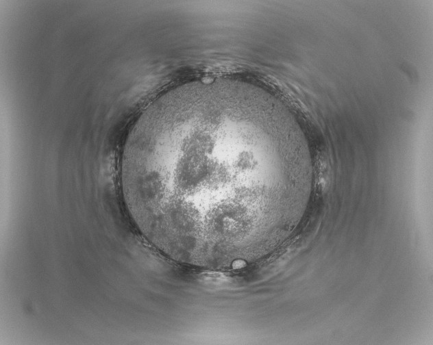 X0000116350519200912011413