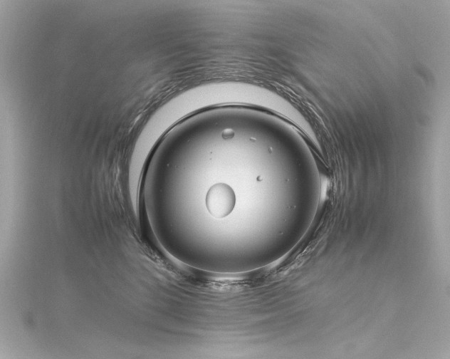 X0000116350520200912011413