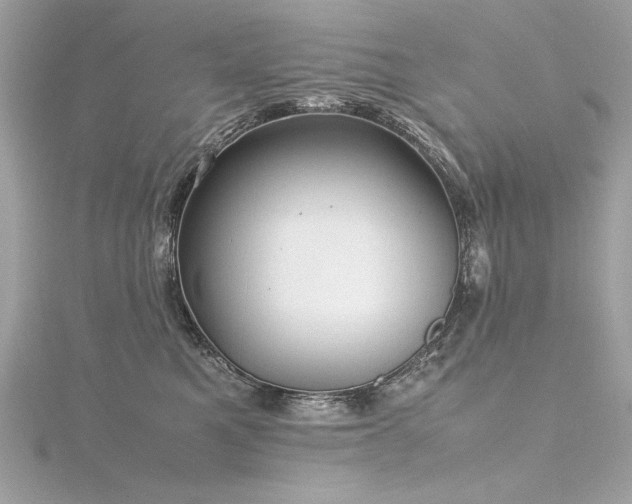 X0000116350521200912011413